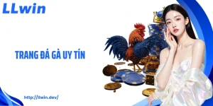 Trang Đá Gà Uy Tín LLWIN Luôn Được Hội Viên Tin Dùng
